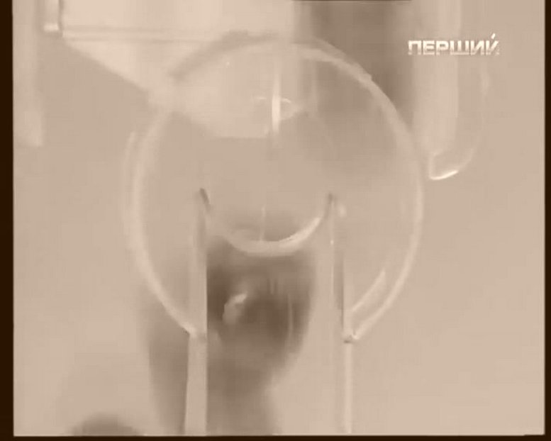 Адреса Лотерей Англии